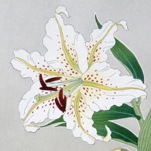 Meet your Posher, Nina